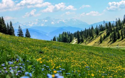 Kolonie letnie w górach (Zakopane)